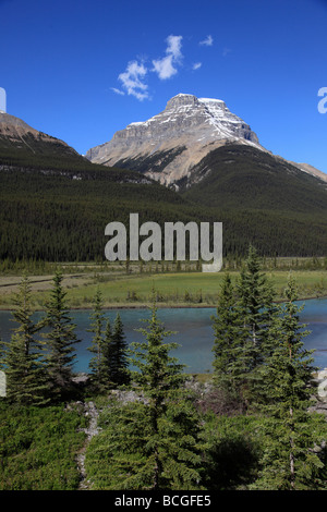 Canada Alberta Banff National Park a nord del Fiume Saskatchewan Mount Amery Foto Stock