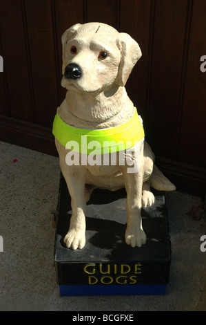 La carità cassetta di raccolta per i cani guida per i non vedenti, England, Regno Unito Foto Stock