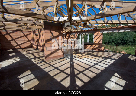 Le ombre del tetto a capriate e travi in legno criss cross il pavimento e le pareti di una casa in costruzione Foto Stock