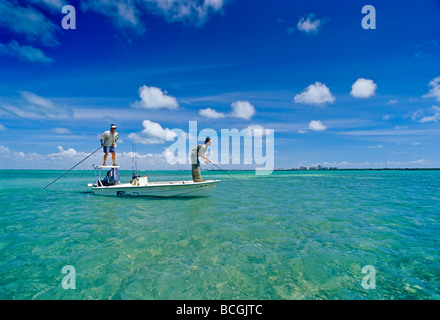 Appartamenti la pesca di Bonefish, Albula vulpes, Stiltsville, Parco nazionale Biscayne, Florida, Stati Uniti d'America, Oceano Atlantico Foto Stock