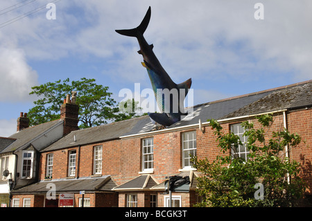 Headington Shark e Oxford, Oxfordshire, England, Regno Unito Foto Stock