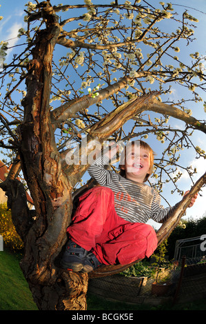 Ragazzo sale su un albero Foto Stock