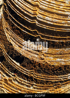 Dettaglio delle piastre arrugginite parti sulla vecchia macchina Foto Stock