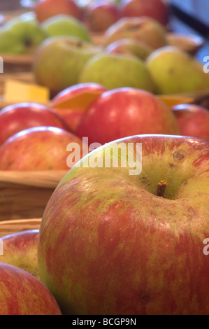 Mele al tempo del raccolto Cornovaglia Foto Stock