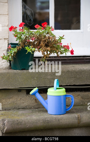 Un bambino di innaffiamento di plastica può essere a un passo dalla porta posteriore e una pianta con fiori di colore rosso. Giardino inglese. Regno Unito. Foto Stock