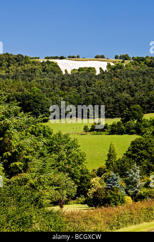 Il Cavallo Bianco di Kilburn North Yorkshire Moors National Park Foto Stock