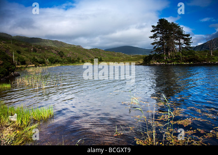 Cloonee Loughs vicino a Kenmare County Kerry sud ovest Irlanda Foto Stock