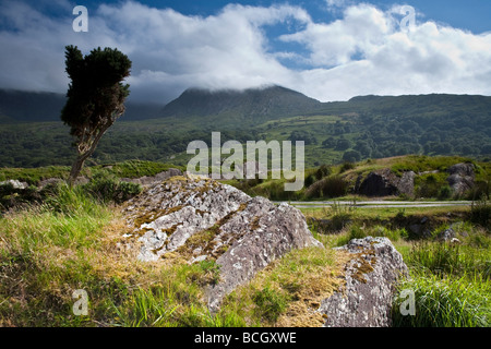 Vicino Cloonee Loughs vicino a Kenmare County Kerry sud ovest Irlanda Foto Stock