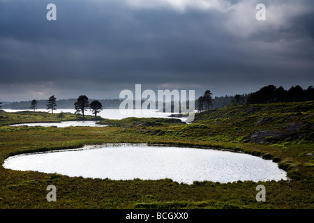 Cloonee Loughs vicino a Kenmare County Kerry sud ovest Irlanda Foto Stock