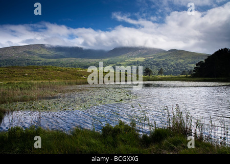 Cloonee Loughs vicino a Kenmare County Kerry sud ovest Irlanda Foto Stock