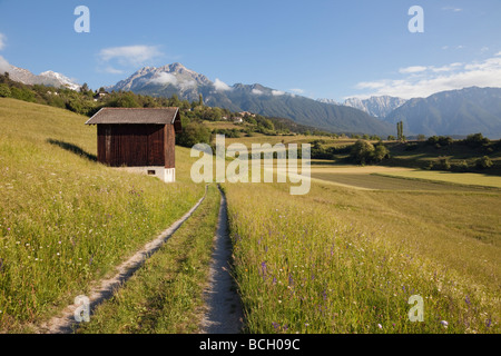 Imst Tirolo Austria Europa. La via e il fienile in estate alpino prati di fiori nella verde valle di prima mattina Foto Stock