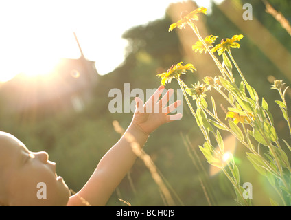 Baby boy raggiungendo per fiori Foto Stock