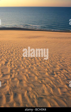 Indiana Dunes National Lakeshore lungo il lago Michigan Foto Stock