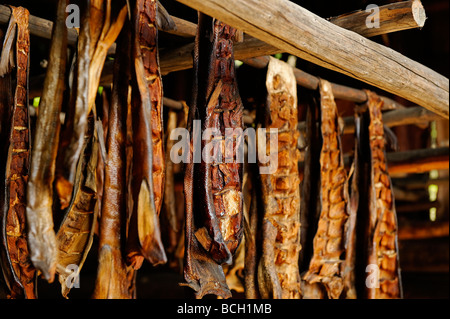 Affumicatoio pesce' atabasco Alaska Foto Stock