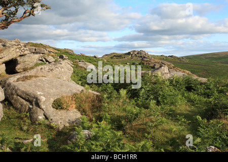 Vista verso la sella Tor, Dartmoor Devon, Inghilterra, Regno Unito Foto Stock