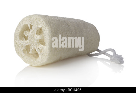luffa Foto Stock