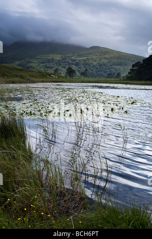 Cloonee Loughs vicino a Kenmare County Kerry sud ovest Irlanda Foto Stock