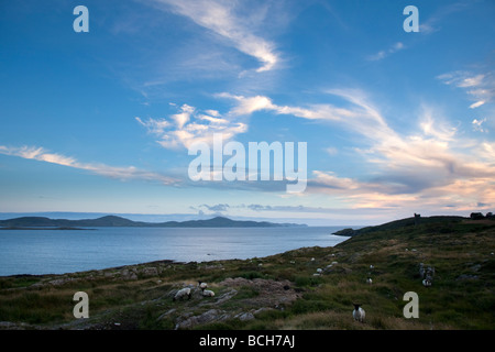 Estate tramonto Dumanus Bay pecore testa Peninsular vicino a Bantry West Cork in Irlanda Foto Stock