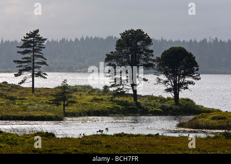 Cloonee Loughs vicino a Kenmare County Kerry sud ovest Irlanda Foto Stock