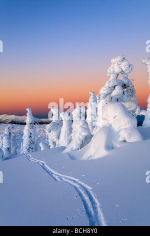 Scenic sunrise in inverno con piste da sci in primo piano Wrangell Isola a sudest di Alaska Foto Stock