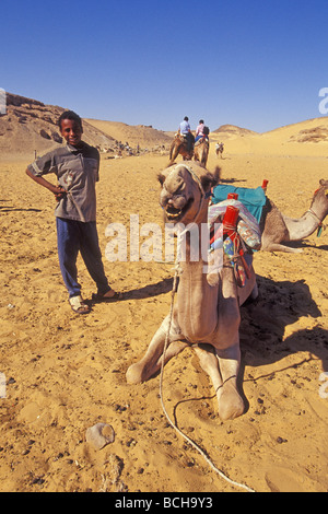 Stazione di cammello ad Aswan Aswan Egitto Foto Stock