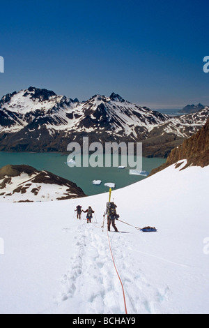 Gli alpinisti scendendo sulla linea della fune attraverso la neve profonda per Fortuna Bay Isola Georgia del Sud Antartico estate Foto Stock