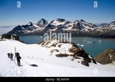 Gli alpinisti scendendo sulla linea della fune attraverso la neve profonda per Fortuna Bay Isola Georgia del Sud Antartico estate Foto Stock