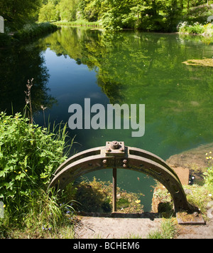 Sbarramenti su Lathkill Dale sopra Ponte Conkesbury nel Parco Nazionale di Peak District, Derbyshire Foto Stock