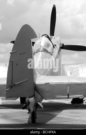 Il Supermarine Seafire F MK XVII versione navale del Spitfire con la coda del gancio di arresto è servita con la Royal Navy Fleet Air Arm Foto Stock