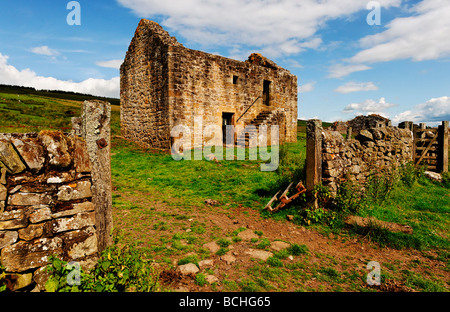 Black Middens Bastle in Northumberland Foto Stock