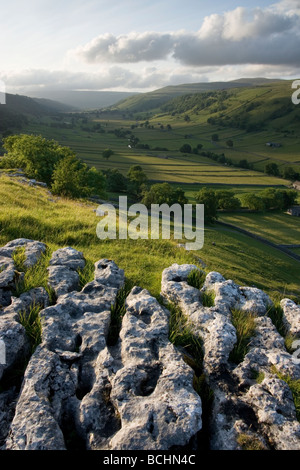 Un affioramento di pavimentazione di pietra calcarea con una vista lungo la linea a forma di u in valle di Wharfedale superiore nel Yorkshire Dales National Park Foto Stock