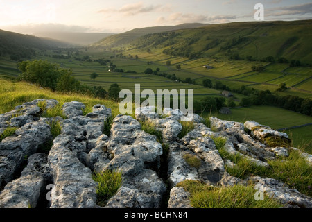 Un affioramento di pavimentazione di pietra calcarea con una vista lungo la linea a forma di u in valle di Wharfedale superiore nel Yorkshire Dales National Park Foto Stock