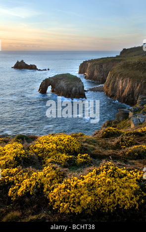 Tramonto al land s end con ginestre in fiore Cornovaglia Foto Stock