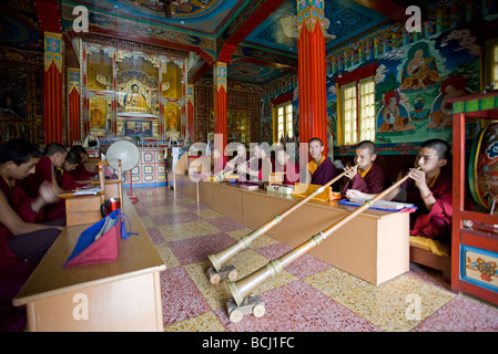 I monaci buddisti di eseguire il rituale puja. Drigung Kagyud Gompa. Rewalsar Lake. Himachal Pradesh. India Foto Stock