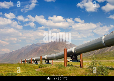 Pipeline Trans-Alaska stretching attraverso la tundra lungo la Dalton Highway Brooks Range Arctic Alaska estate Foto Stock