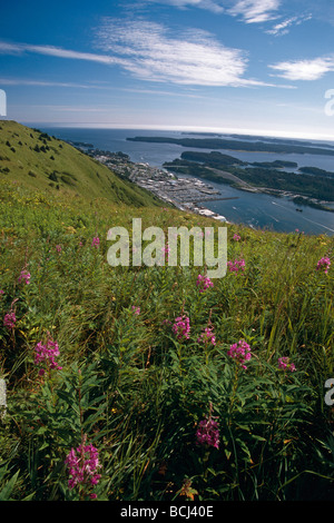 L uomo si affaccia Kodiak & Porto dalla cresta SW AK Estate Foto Stock