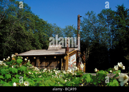 Tlingit Clan House Totem Bight State Historical Park Foto Stock