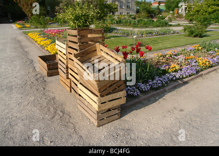 Svuotare i vassoi di legno al giardino botanico Monaco di Baviera Baviera Germania giardiniere ammucchiare le scatole dopo finito il lavoro da giardino Foto Stock