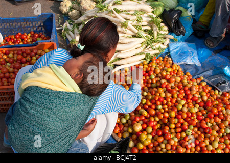 Kathmandu, Nepal. Vicinato mercato ortofrutticolo. Madre selezionando i pomodori mentre il bambino dorme. Foto Stock