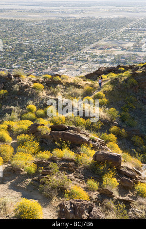 Primavera tempo di Palm Springs e Coachella Valley dal Museo Trail in Palm Springs California USA Foto Stock