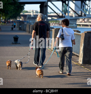 Cani a piedi lungo il fiume Willamette Portland Oregon USA Foto Stock