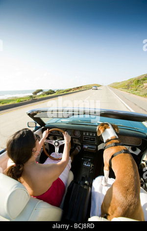 Femmina guida caucasica autovettura convertibile con il cane seduto nel sedile passeggero, la guida lungo la costa Californiana (Del Mar, CA) Foto Stock