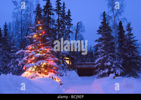 Albero di Natale decorato fuori casa Anchorage AK SC Inverno Foto Stock