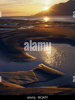 Braccio Turnagain tidal flats @ Sunset w/marea fuori SC AK Estate Foto Stock