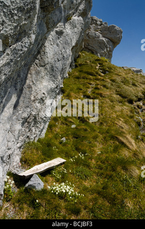 Banco sotto la rupe Snjeznik mountain nella regione di Gorski kotar,Croazia, Europa Foto Stock