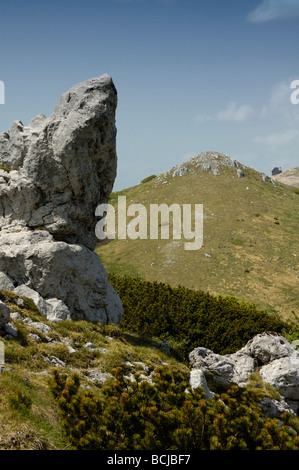 Vista su Montagna Di Guslica nella regione di Gorski Kotar, Croazia, Europa Foto Stock