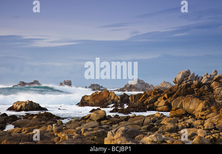 Onde che si infrangono sulla riva Asilomar membro spiaggia nella penisola di Monterey Foto Stock
