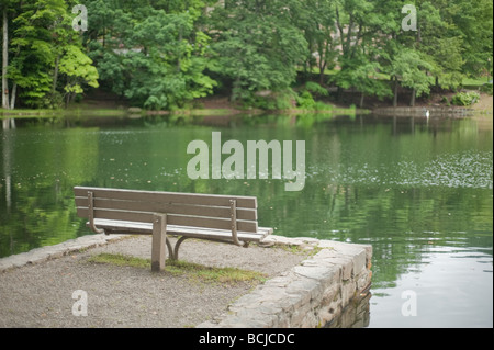 Un solitario una panchina nel parco in un parco da un lago in estate non si è seduta sul banco sembra tranquilla e rilassante atmosfera tranquilla Foto Stock