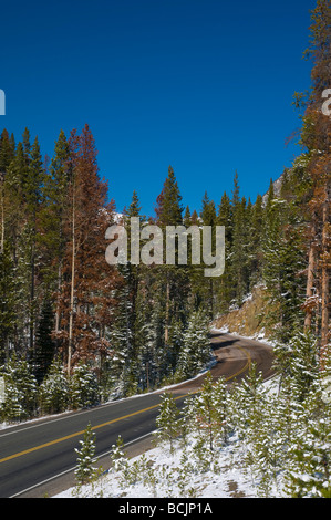 Stati Uniti d'America, Colorado, Parco Nazionale delle Montagne Rocciose Foto Stock