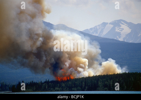 Blazing forest fire in Kenai Wildlife Refuge, Skilak Lake, Alaska, Estate. Foto Stock